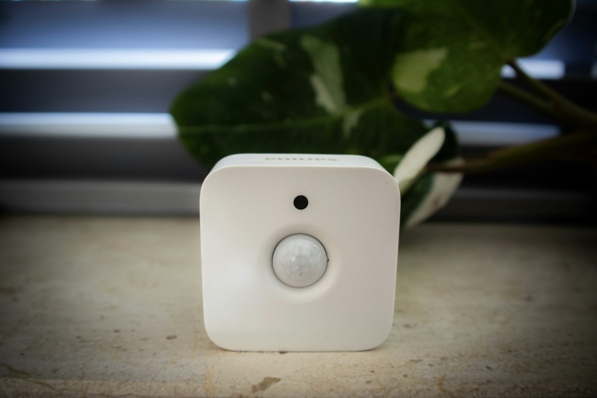 Small white wireless motion and occupancy sensor