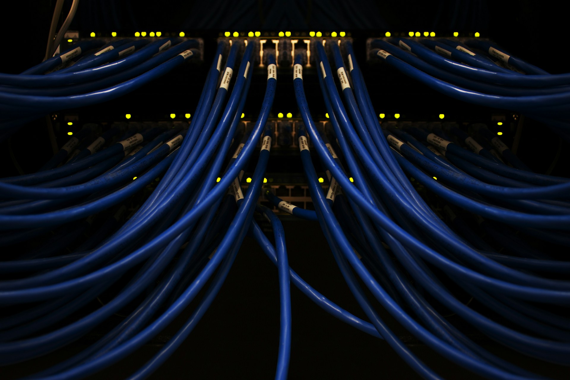 Blue network cables connected to a patch panel in a dark server room